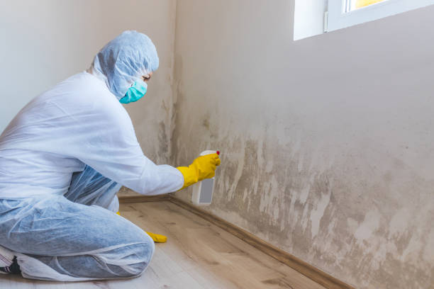 Commercial Mold Remediation assessment for commercial property in Churchville