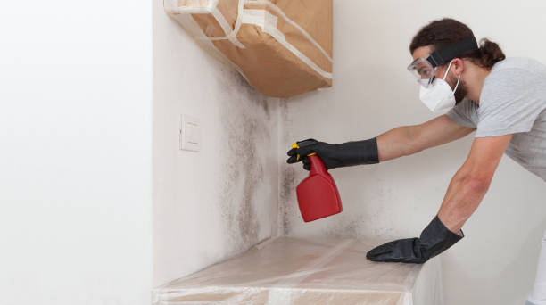 Attic Mold Remediation treatment on roof deck in Churchville